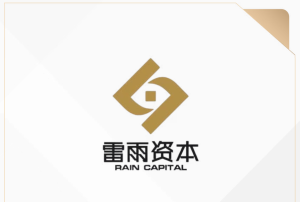 融资 2