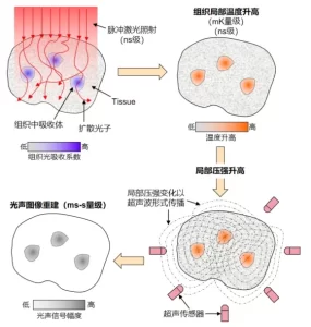 追梦利影 1